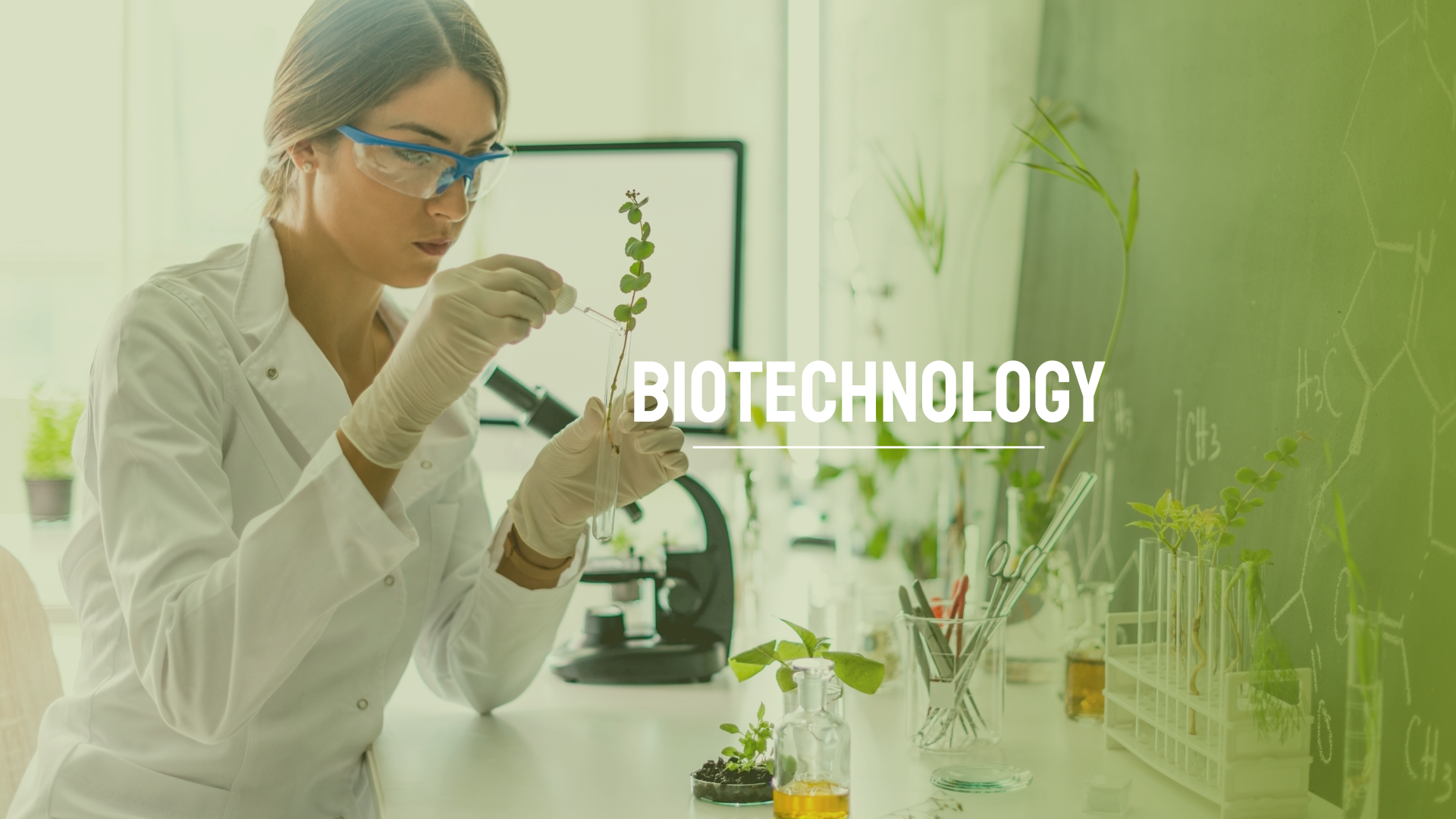 Biotechnology What is Biotechnology Definition, Types, Applications and Departments
